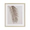 Stupell Industries Falling Neutral Brown Palm Framed Print Under Glass, design by Sisi and Seb